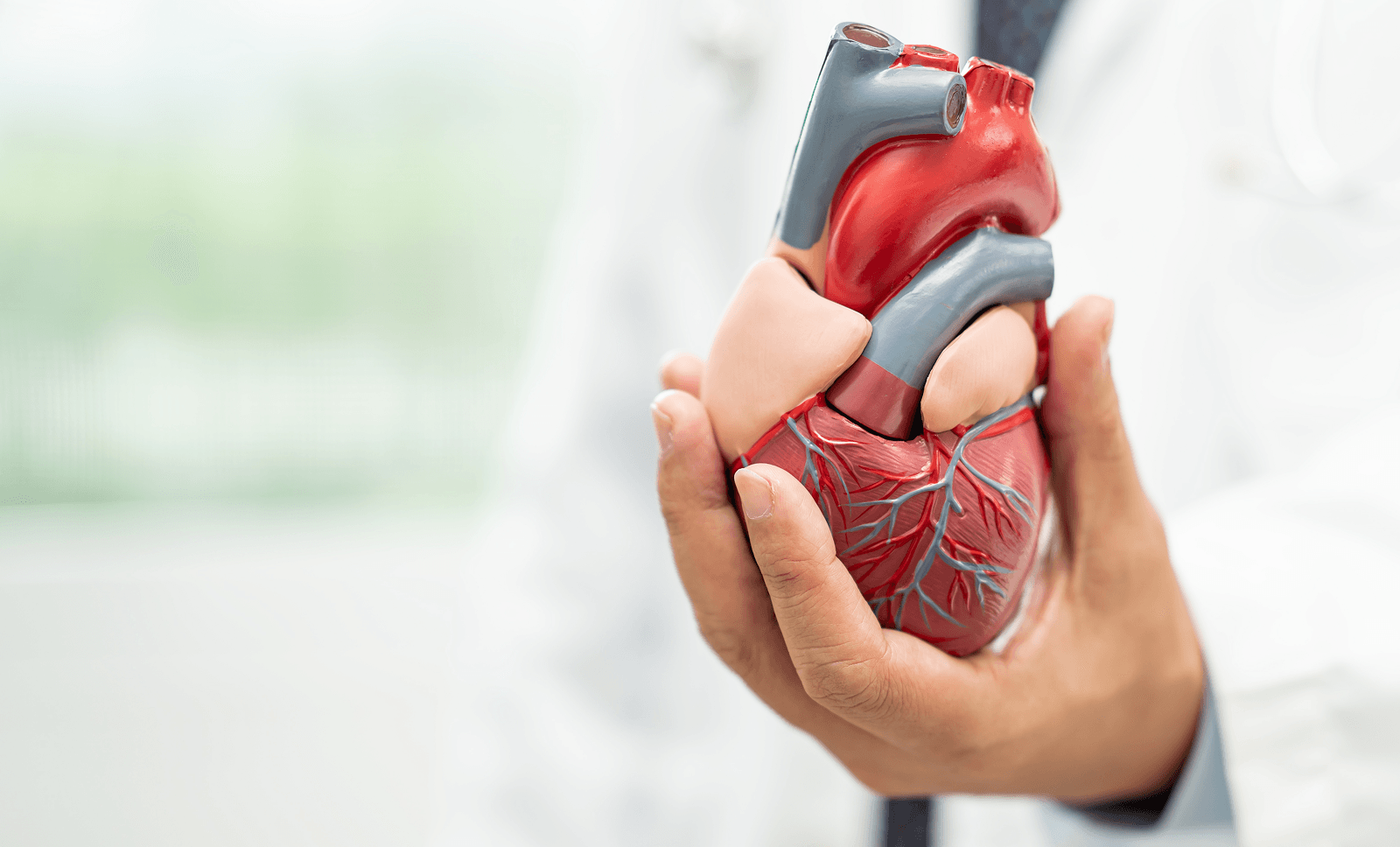 Heart Health Beyond Medications: Lifestyle Habits That Truly Protect Your Heart